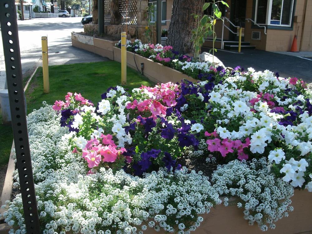 Hotel Alpine Inn&spa South Lake Tahoe